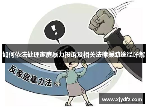 如何依法处理家庭暴力投诉及相关法律援助途径详解