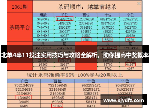 北单4串11投注实用技巧与攻略全解析，助你提高中奖概率