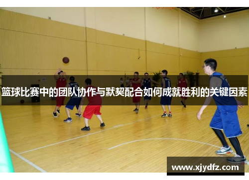篮球比赛中的团队协作与默契配合如何成就胜利的关键因素